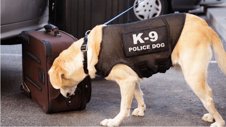 Guaranteed Security