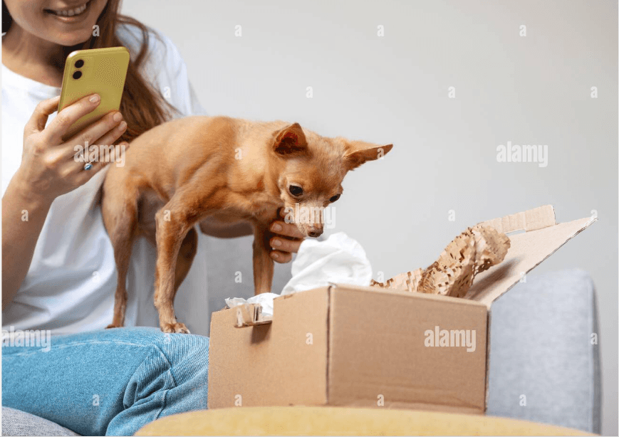 Express Delivery